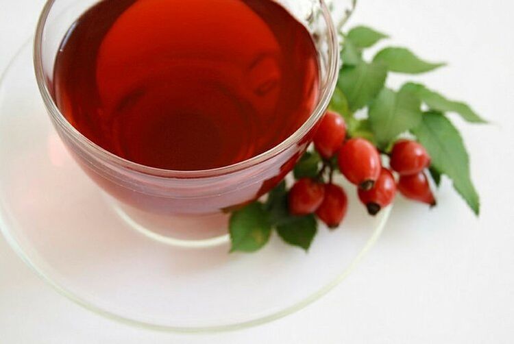 rosehip broth for pancreatitis